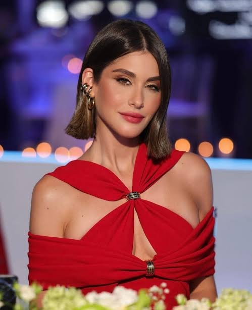 MEA influencer